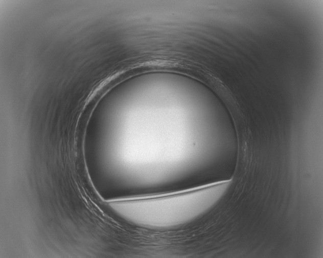 X0000086070484200703231017