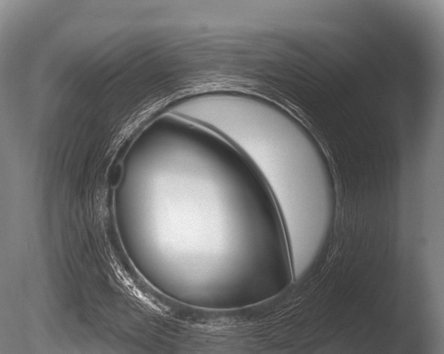 X0000086070485200703231017