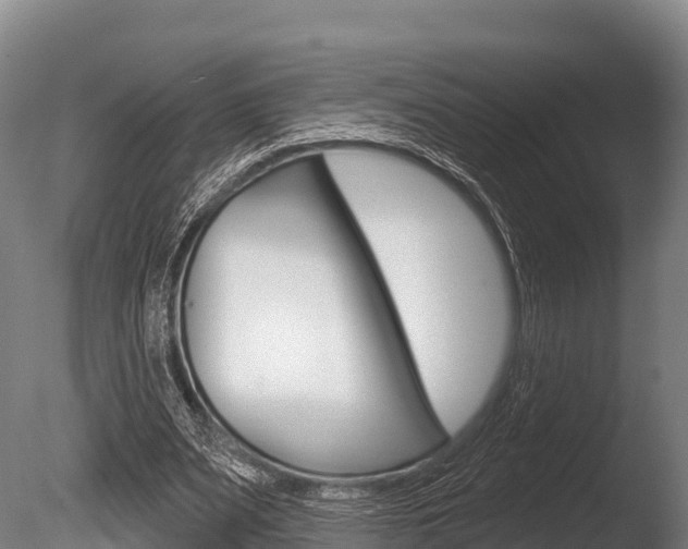 X0000086070487200703231017