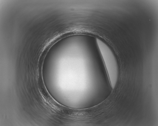 X0000086070488200703231017