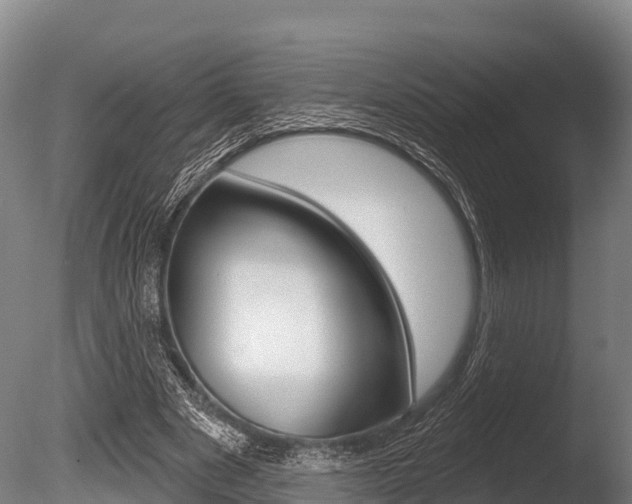 X0000086070489200703231017