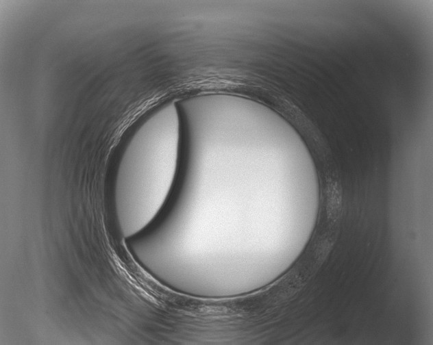X0000086070490200703231017