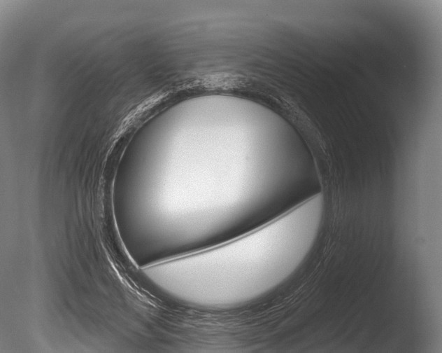 X0000086070492200703231017