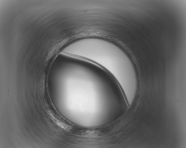 X0000086070493200703231017