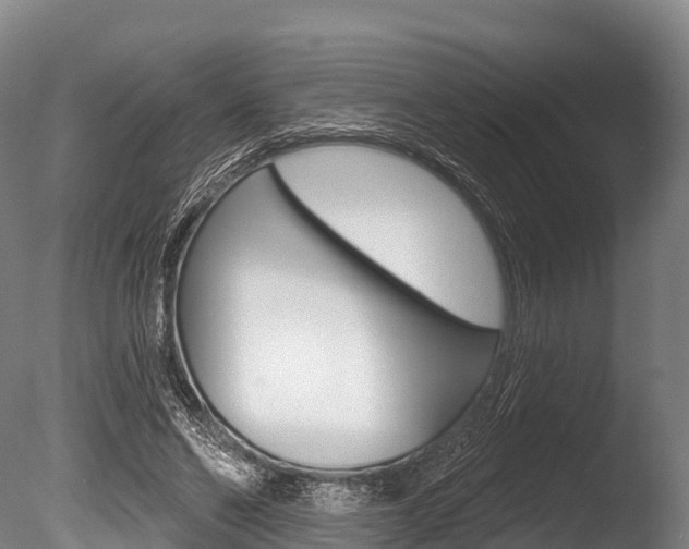 X0000086070494200703231017