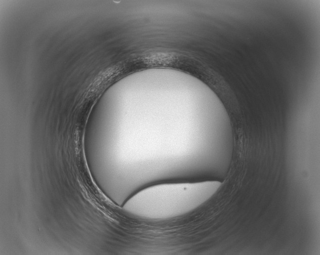 X0000086070498200703231017