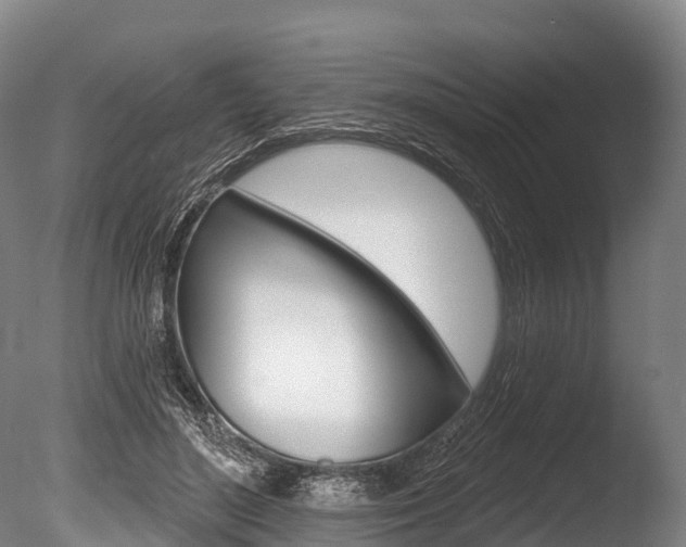 X0000086070500200703231017