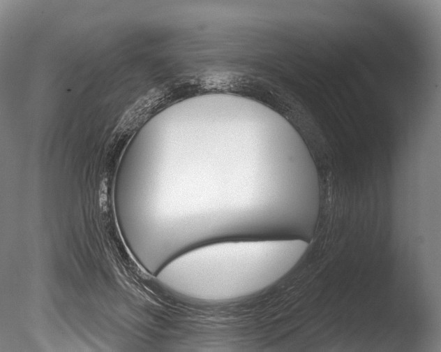 X0000086070502200703231017
