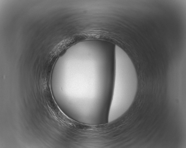 X0000086070504200703231017