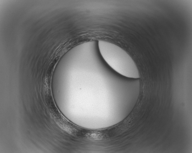 X0000086070506200703231017