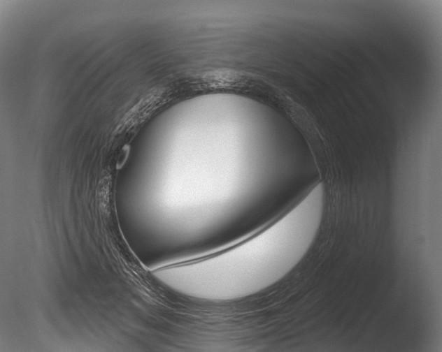 X0000086070509200703231017