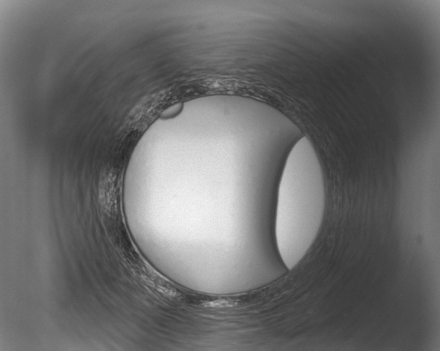 X0000086070511200703231017