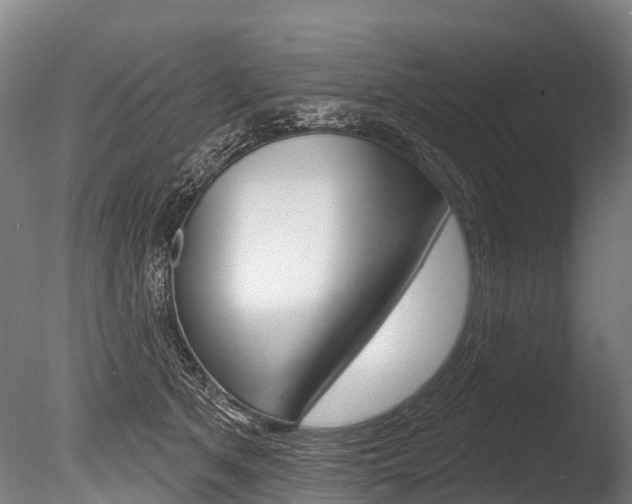 X0000086070513200703231017