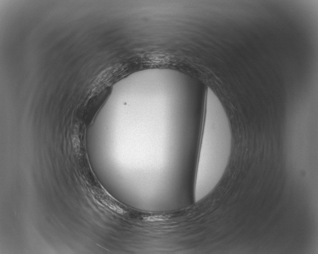 X0000086070516200703231017