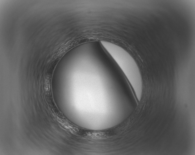 X0000086070517200703231017