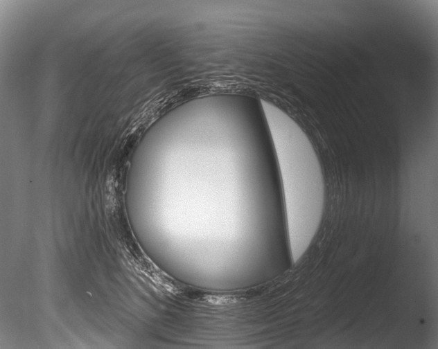 X0000086070520200703231017