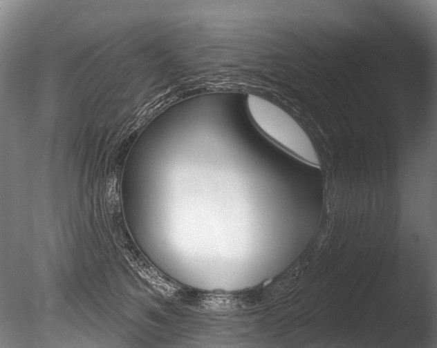 X0000086070521200703231017