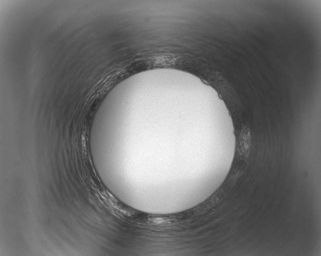 X0000086070522200703231017