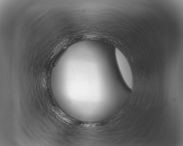 X0000086070524200703231017
