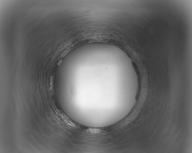 X0000086070528200703231017