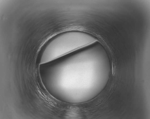 X0000086070531200703231016