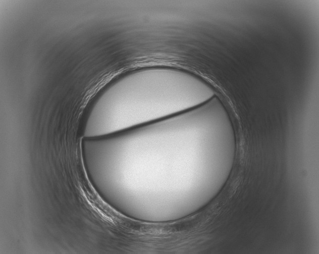 X0000086070533200703231016