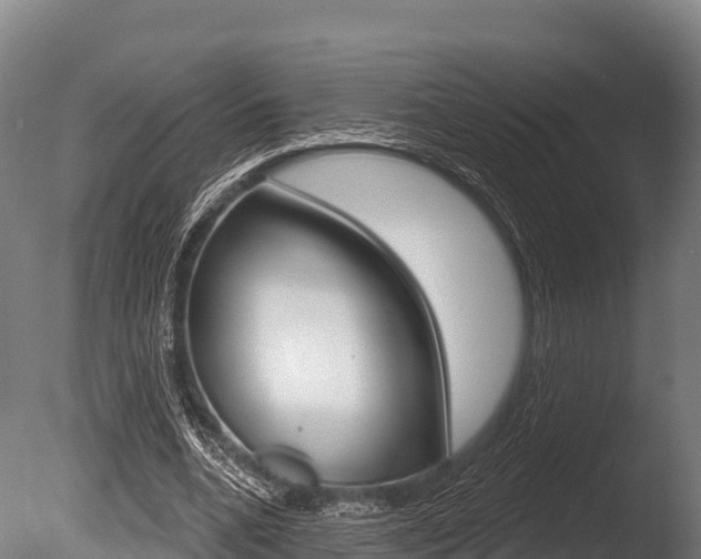 X0000086070536200703231016