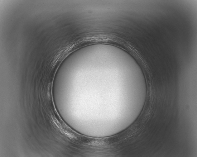 X0000086070537200703231016