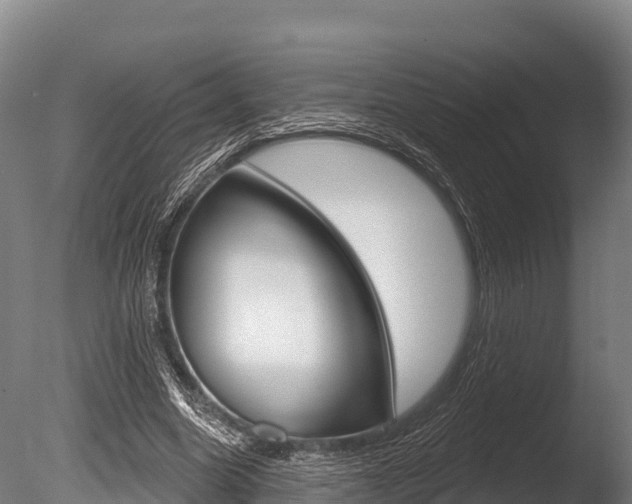 X0000086070538200703231016