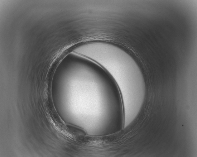 X0000086070540200703231016