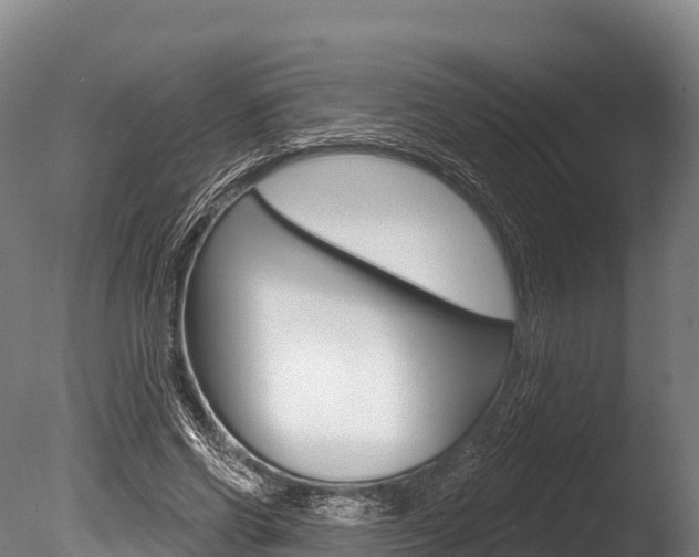 X0000086070542200703231016