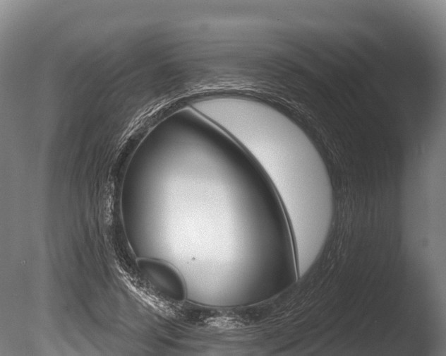 X0000086070544200703231016