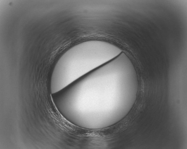 X0000086070545200703231016