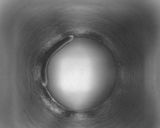 X0000086070546200703231016