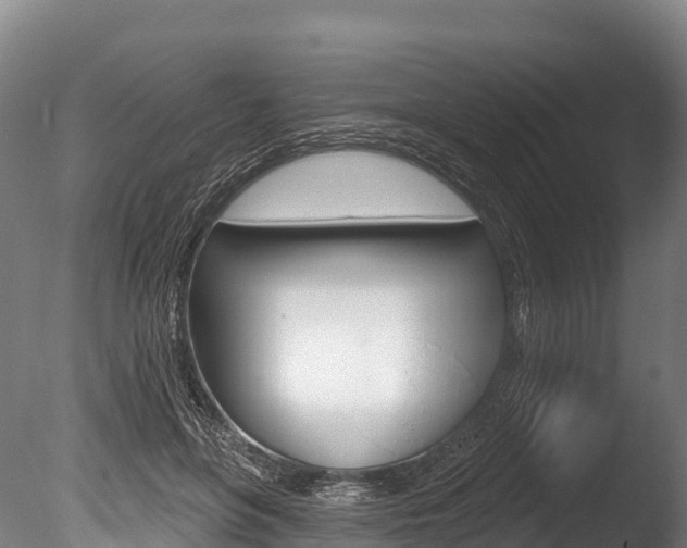 X0000086070551200703231016