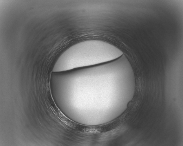 X0000086070553200703231016