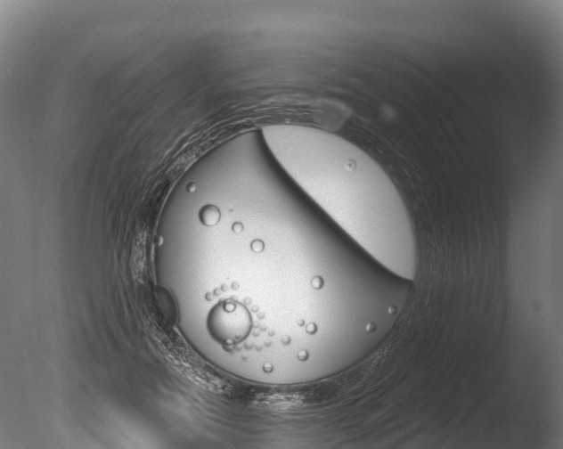 X0000086070554200703231016