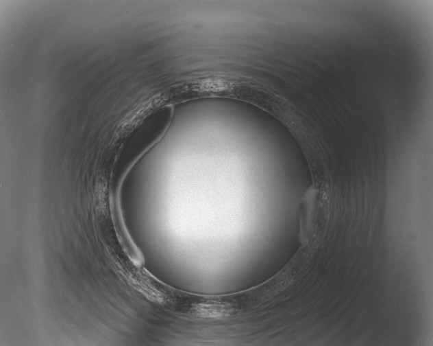 X0000086070556200703231016