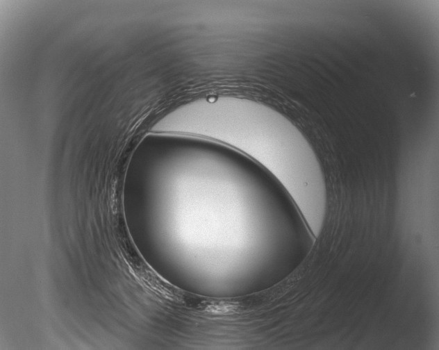 X0000086070560200703231016