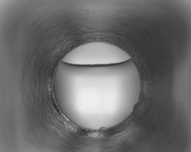 X0000086070561200703231016