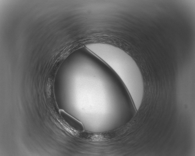 X0000086070562200703231016