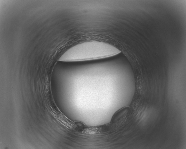 X0000086070563200703231016