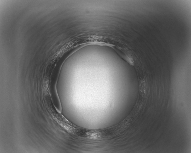 X0000086070564200703231016