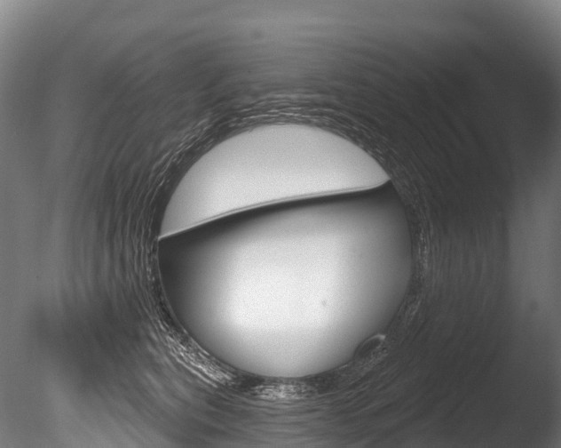 X0000086070567200703231016