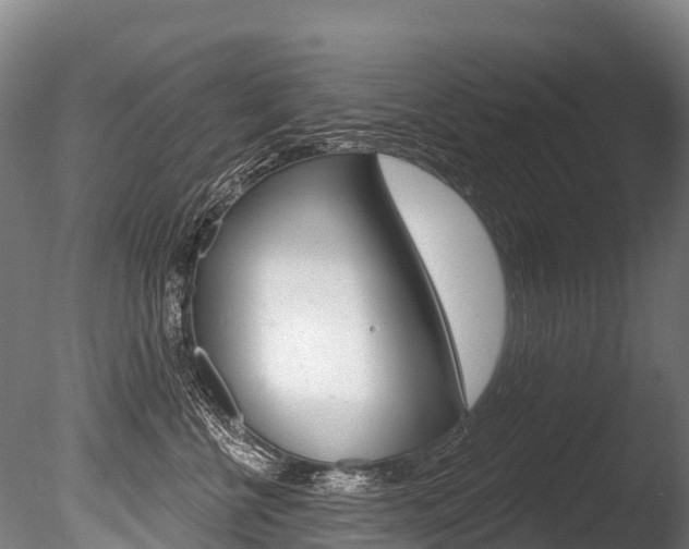 X0000086070570200703231017