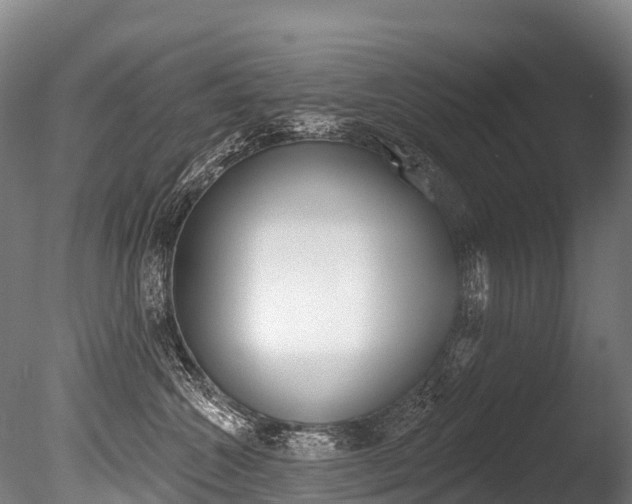 X0000086070572200703231017