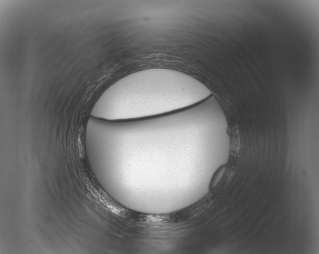 X0000086070573200703231017