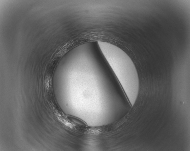 X0000086070574200703231017