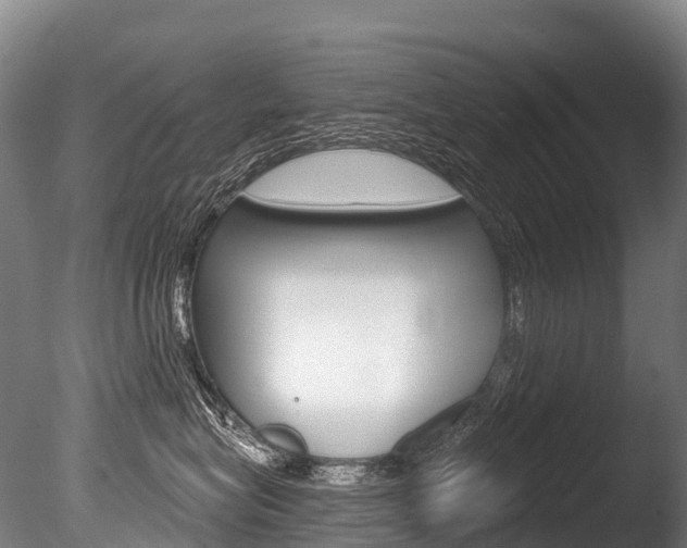 X0000086070575200703231017