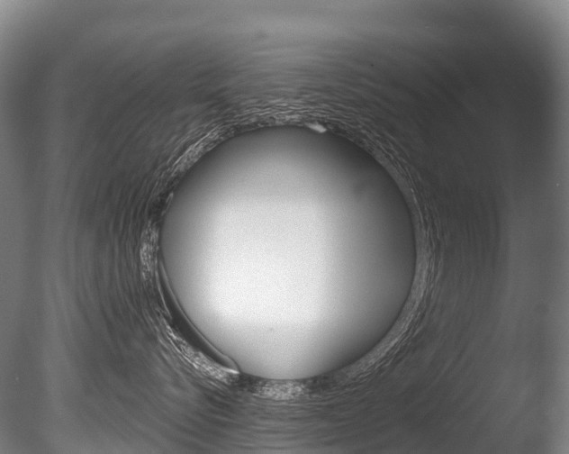 X0000086070576200703231017